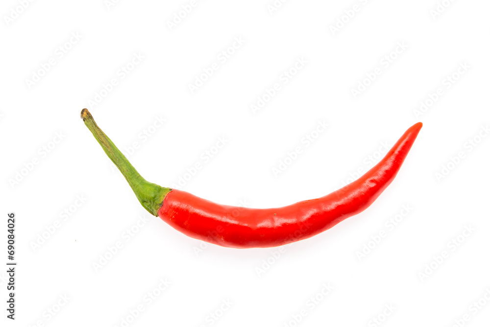 Chilli isolated on white