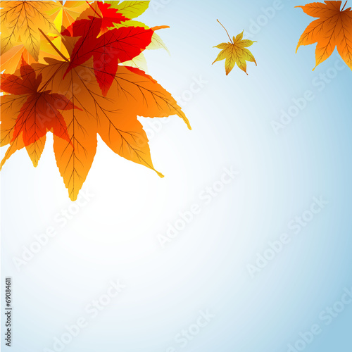 осенний фон с прозрачными цветными листьями