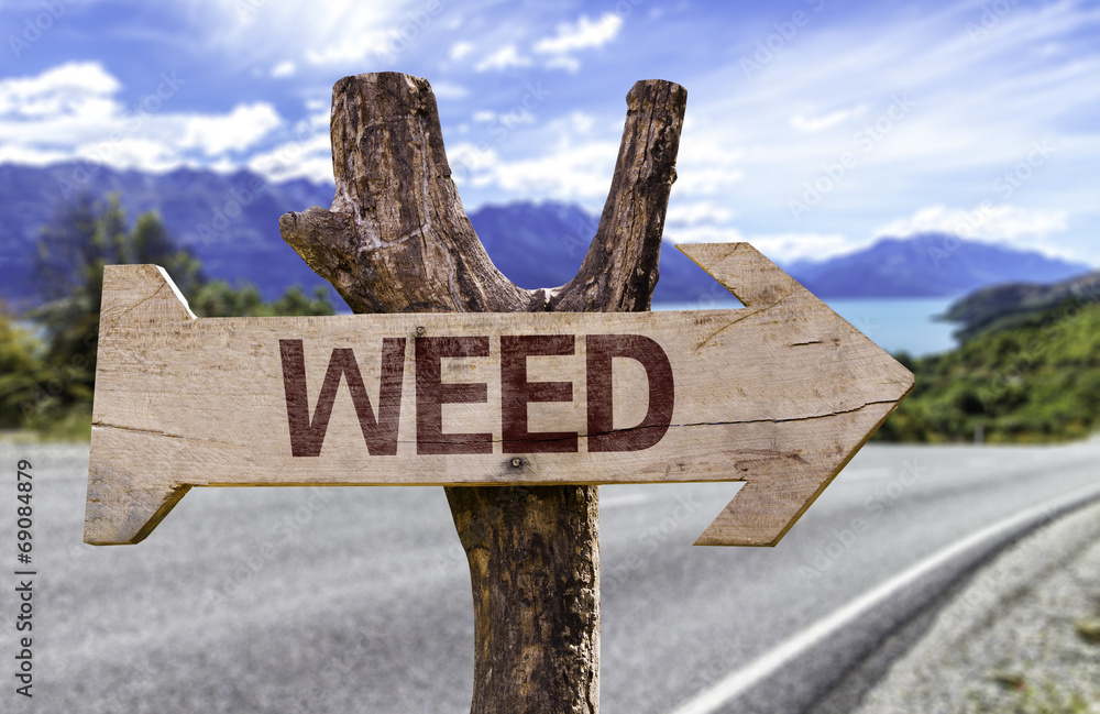 Weed wooden sign with a street background