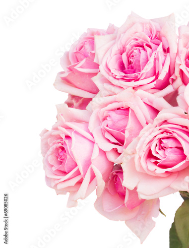 bouquet of fresh pink roses close up