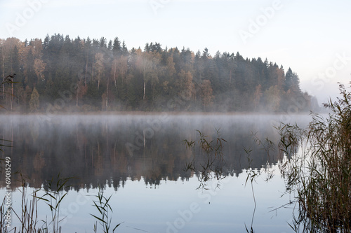 misty morning at the lake in country