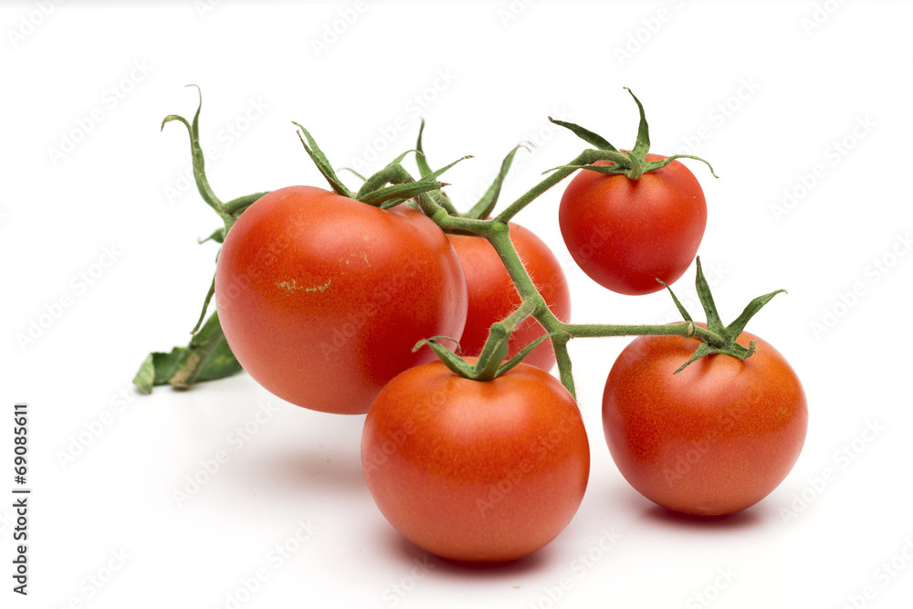 tomato on the white background