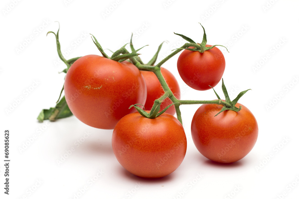 tomato on the white background