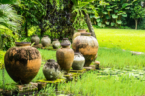 water garden