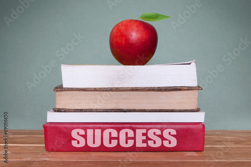 Education success
