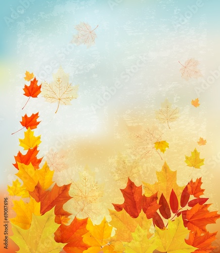 Autumn background with colorful leaves. Back to school Vector il