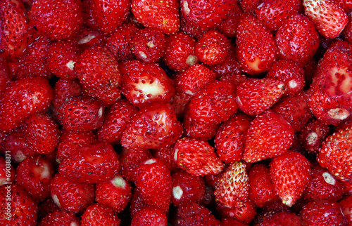 Wild strawberry background