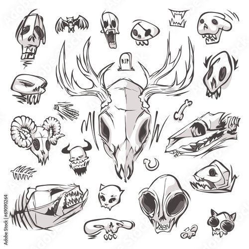 Diverse Skulls and Bones Set