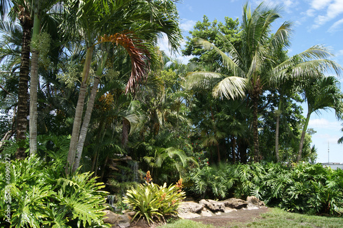 Cascade dans les Everglades en Floride -   tats Unis d Am  rique