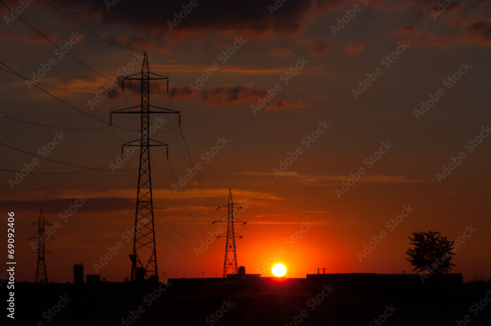sunset view of power poles and a tree