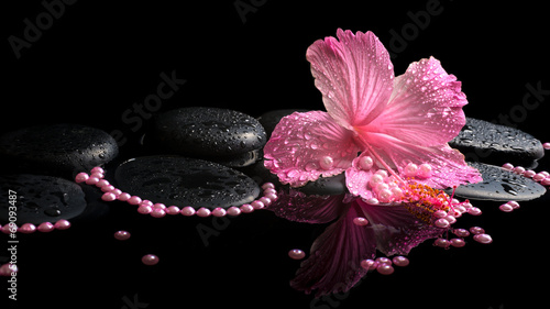 Beautiful spa still life of pink hibiscus, drops and pearl beads
