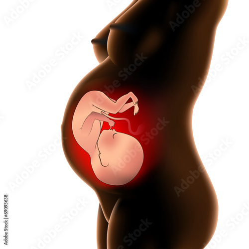 pregnant with fetus
