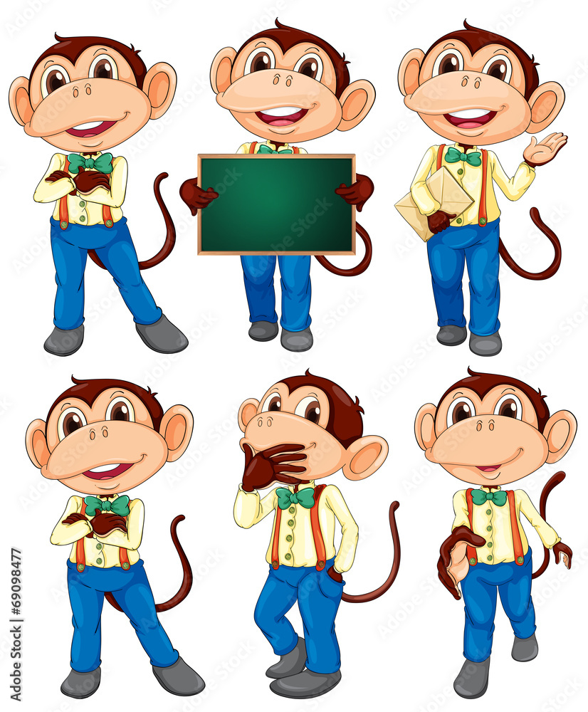 Fototapeta premium Monkey set