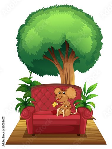 A chair under the tree with a mouse