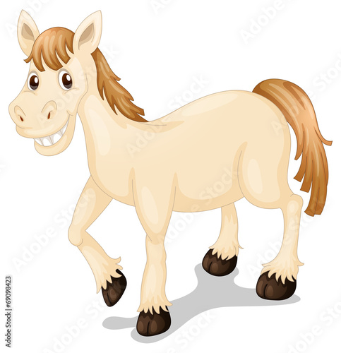 A smiling horse