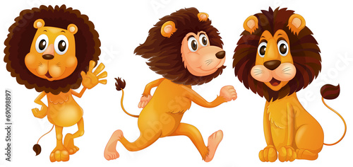 Fototapeta Naklejka Na Ścianę i Meble -  Lion set