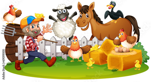 Farm animals
