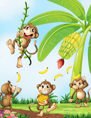 Playful monkeys near the banana plant
