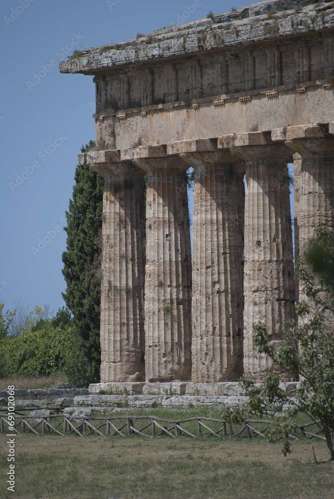 Fototapeta premium Details of the ruins of Paestum