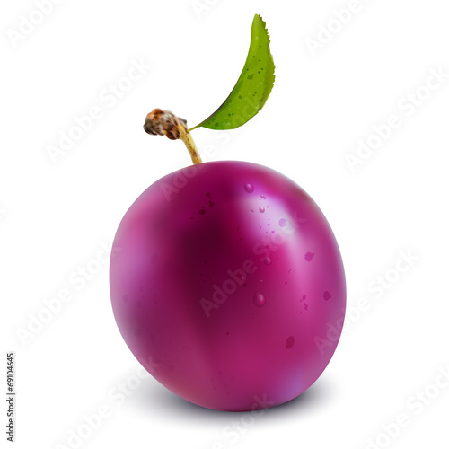 Vector purple plum with green leaf isolated on white background