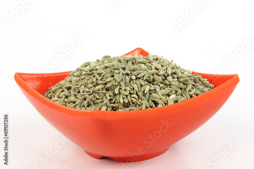 fennel seeds in a melamine bowl isolated on white