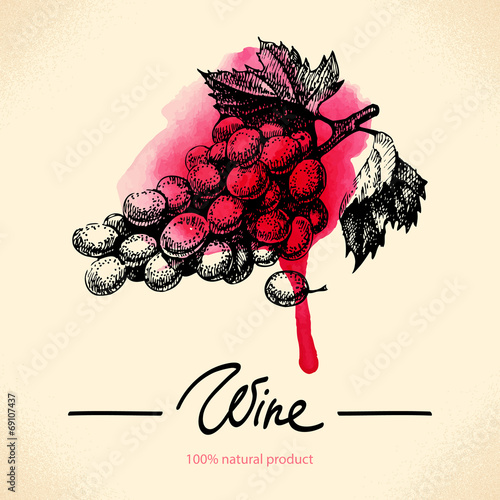 Wine vintage background. Watercolor hand drawn illustration