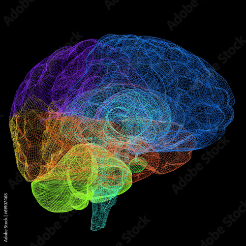 Creative concept of the human brain