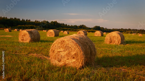 Landscape with hay