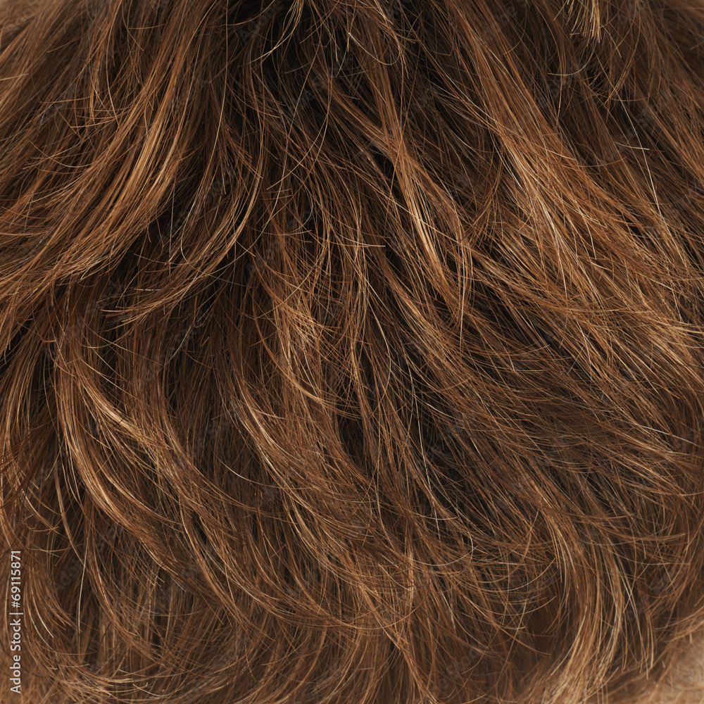 Fototapeta premium Hair fragment as a background composition