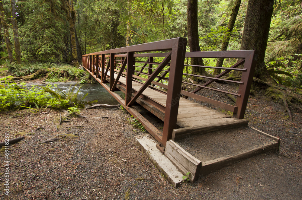 Nature Bridge end near Marymere Falls, Olympic National Park