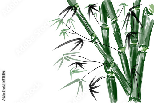 Handgezeichnete Bambus Illustration in Aquarelloptik auf weissem Grund. Copyspace links.