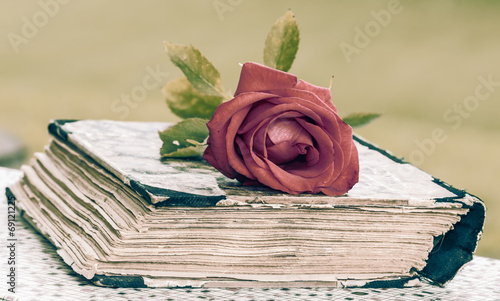 book and rose