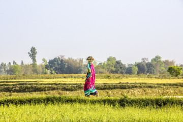 Handdoek met foto Nepal Boer aan het werk op akker  © anando.a