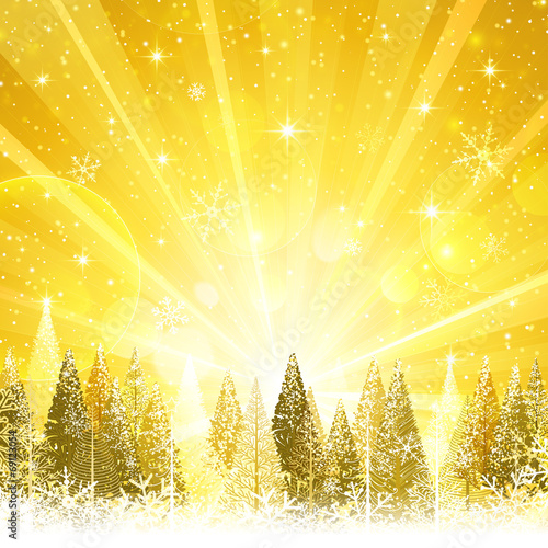 Winter forest at sunrise