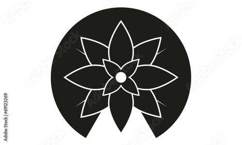 Seerose