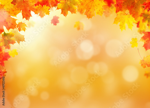 Autumn leaves background with free space for text