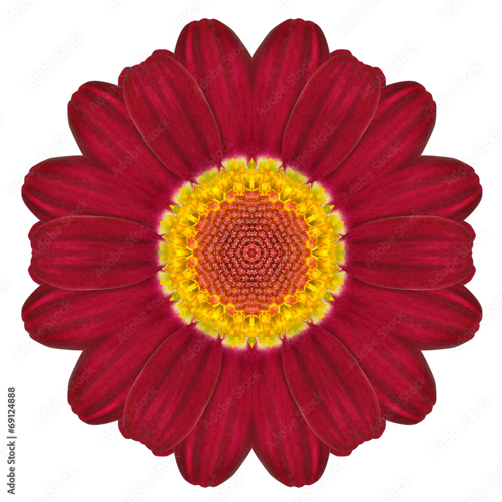 Kaleidoscopic Flower Mandala Isolated on White Kaleidoscopic Flower Mandala Isolated on White