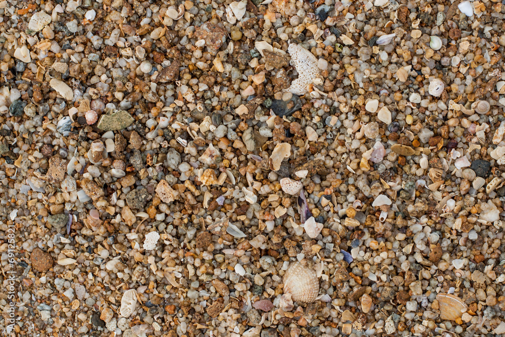 Sea sand texture made of shell and stone pieces. Sea sand texture made of shell and stone pieces.