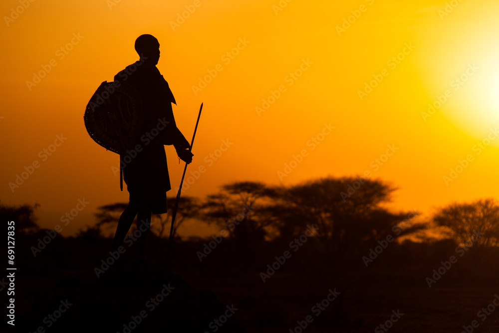 Serengeti Krieger - obrazy, fototapety, plakaty 