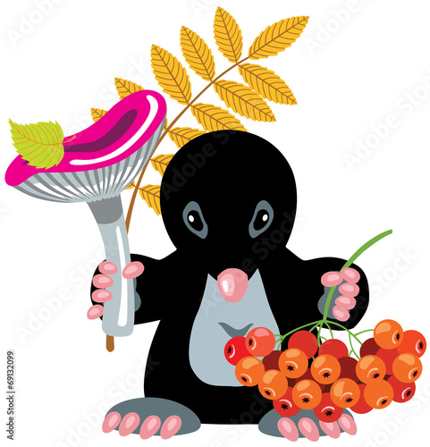 cartoon mole holding mushroom