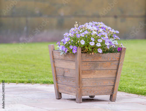 wooden planter with purple flowers