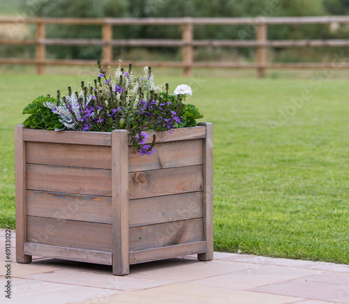 Fotografie wooden planter with purple flowers