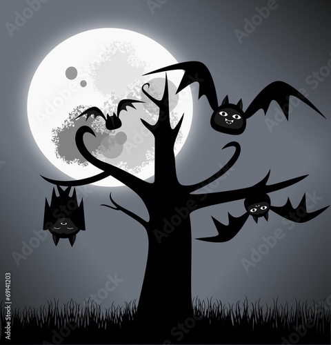 Chauves-souris