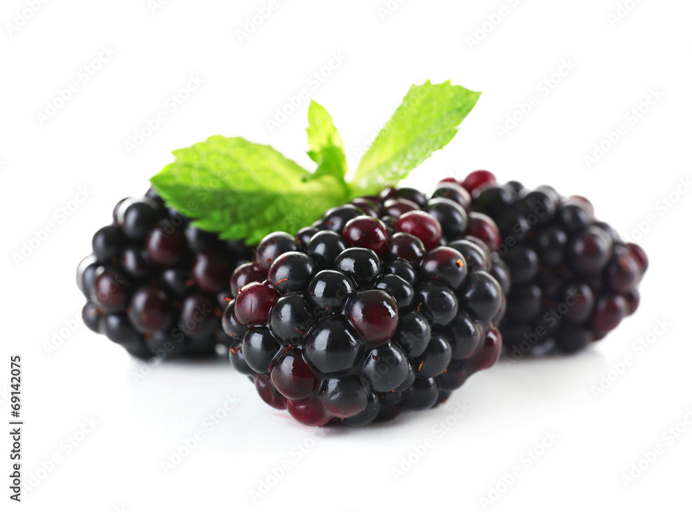 Blackberries isolated on white Blackberries isolated on white