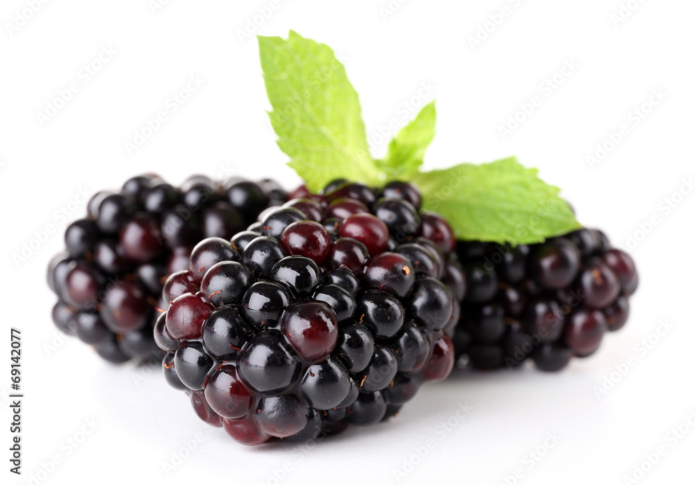 Blackberries isolated on white Blackberries isolated on white