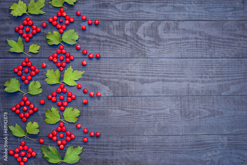 Ukrainian pattern of Viburnum photo