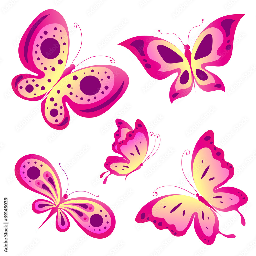butterflies design butterflies design