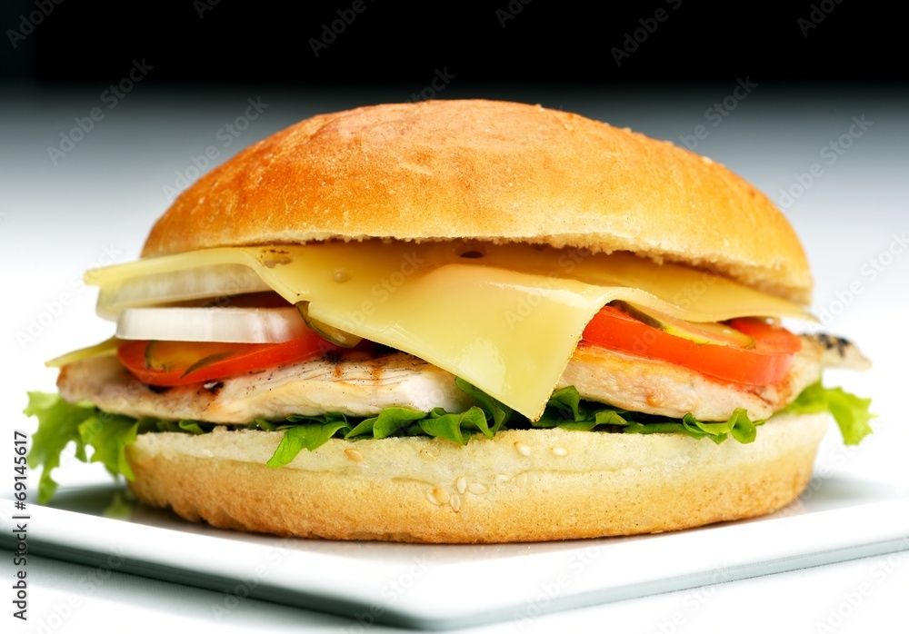 hamburger hamburger