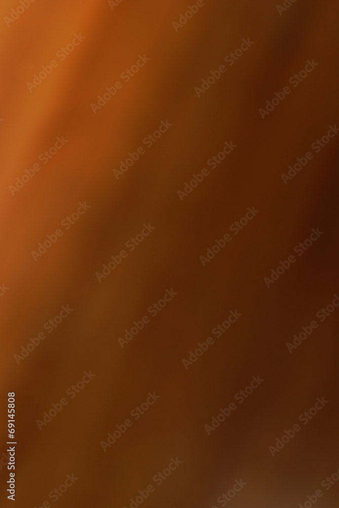 Blurred Browns Blurred Browns