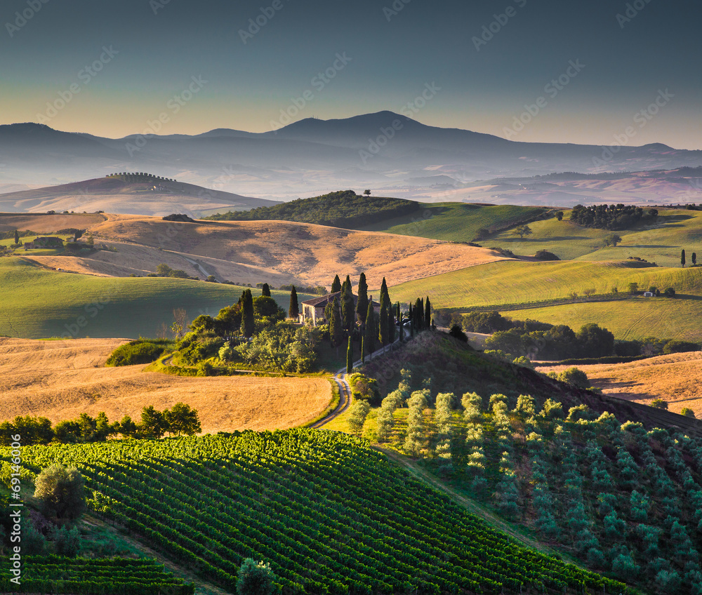 Scenic Tuscany landscape at sunrise, Val d'Orcia, Italy